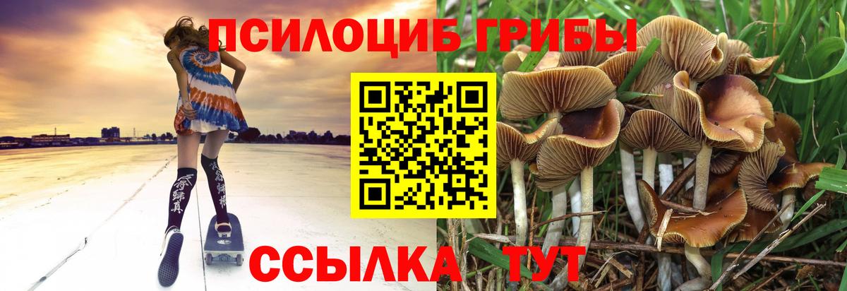 Галлюциногенные грибы GOLDEN TEACHER  Вход с VPN  Миллерово 
