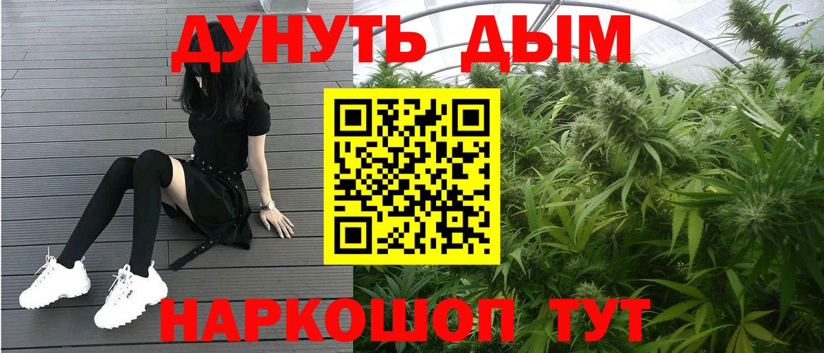 Бошки Шишки планчик Миллерово